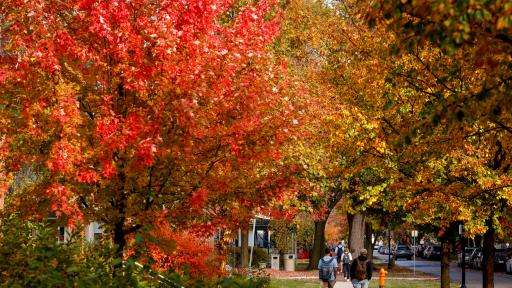 Fall on campus.