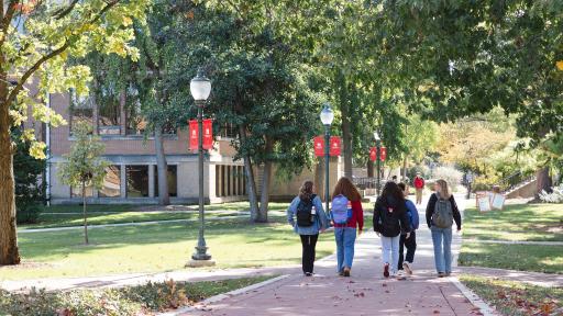 Students walking down the main path on campus.