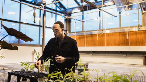 student in greenhouse