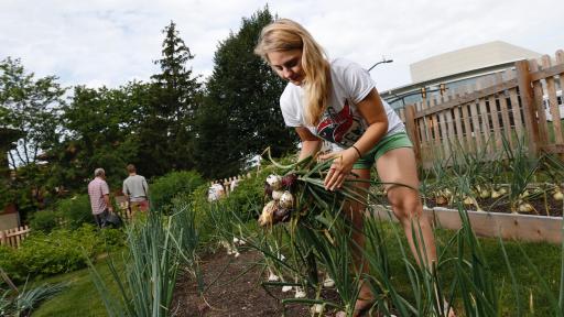 sustainable campus garden