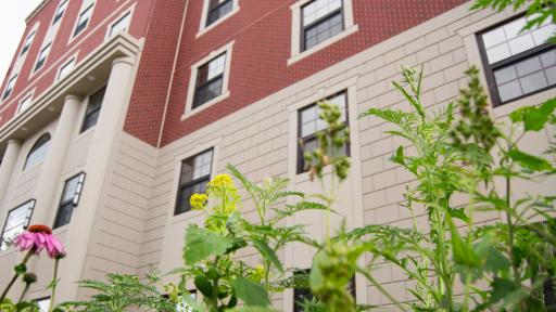 new hall exterior