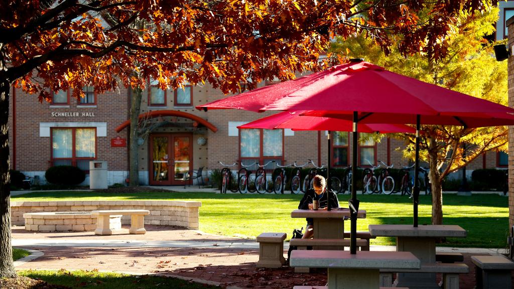 Waubonsee Community College Partnership | North Central College